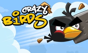 crazy-birds